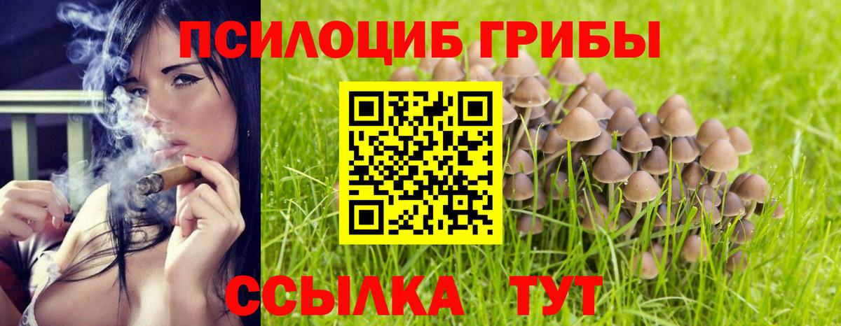 Галлюциногенные грибы Psilocybe  Галлюциногенные грибы мухоморы  Вход с VPN  Мурманск 